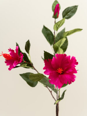 Zijden bloem - Hibiscus Fuchsia