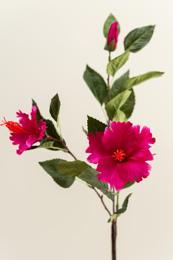 Zijden bloem - Hibiscus Fuchsia