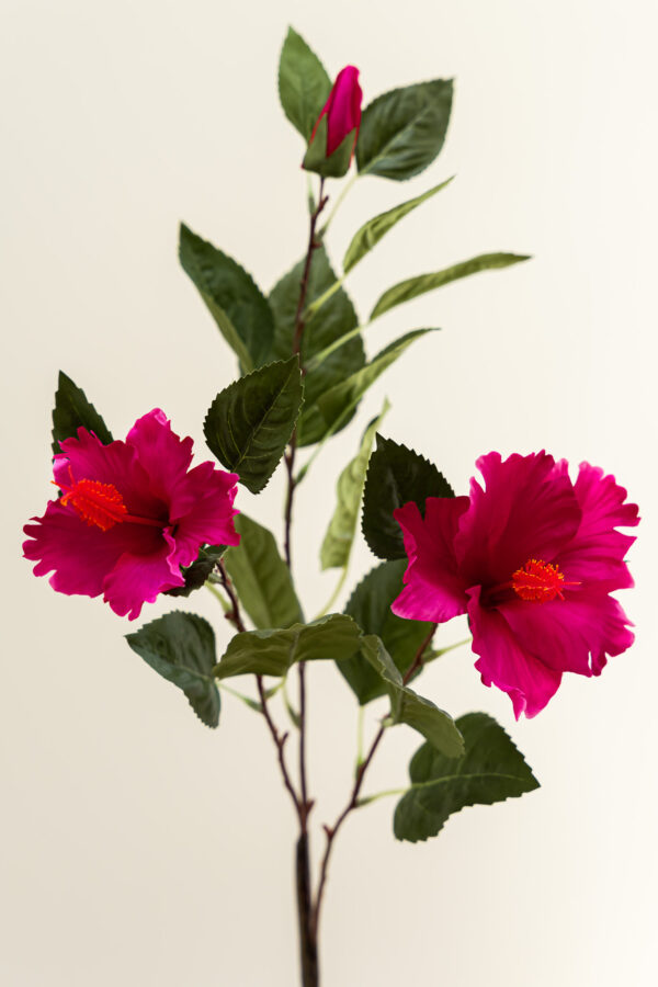 Zijden bloem - Hibiscus Fuchsia