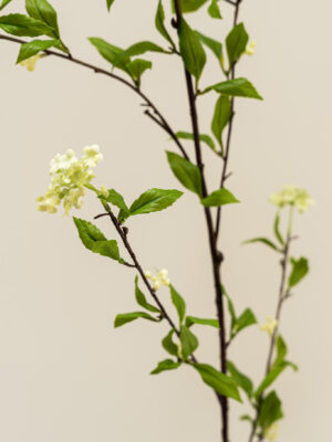 Zijden bloem - Snowball Spray Groen