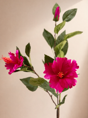 Zijden bloem - Hibiscus Fuchsia