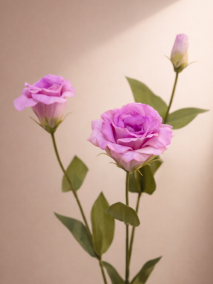 Zijden bloem - Lisianthus Lila