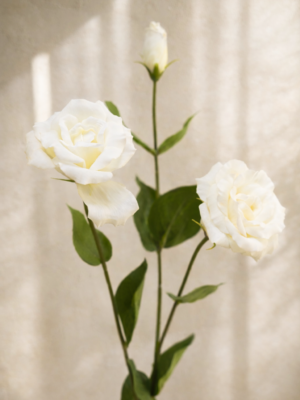 Zijden bloem - Lisianthus Cream