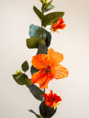 Zijden bloem - Hibiscus Orange
