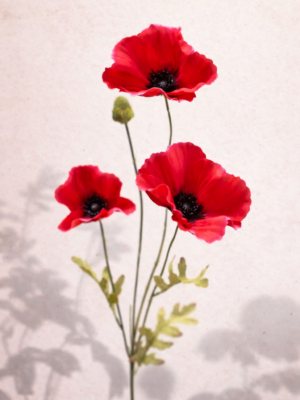 Zijden bloem - Poppy Spray Red