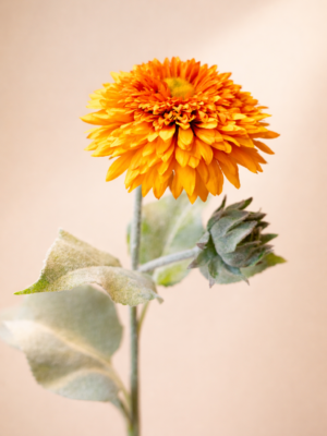 Zijden bloem - Mum Chrysant Oranje