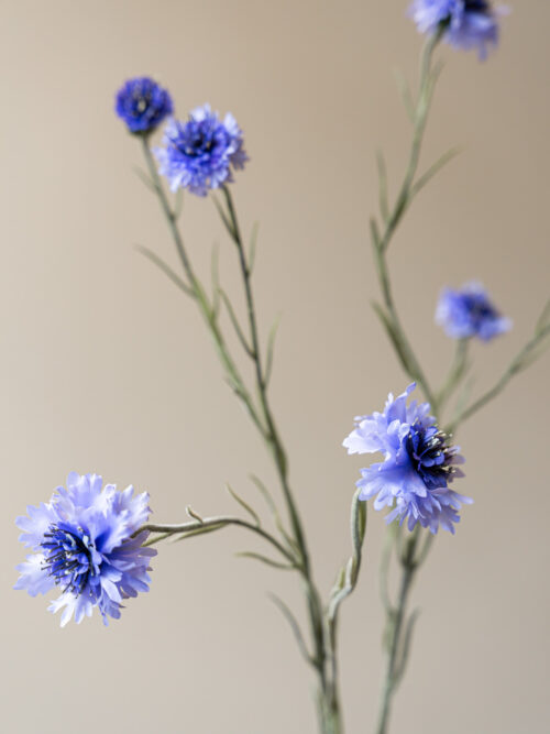 Zijden bloem - Korenbloem Licht Blauw