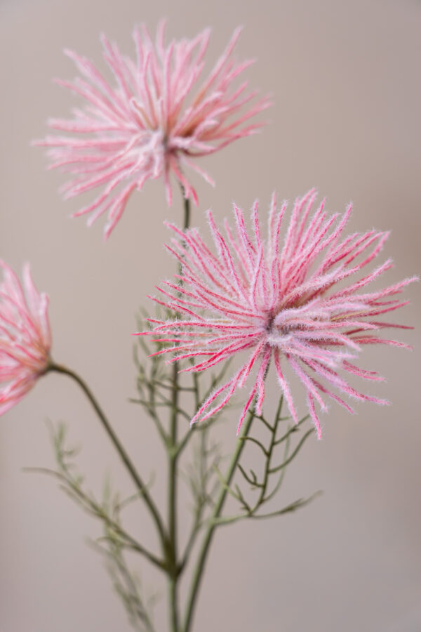 Zijden bloem - Anemone Pink
