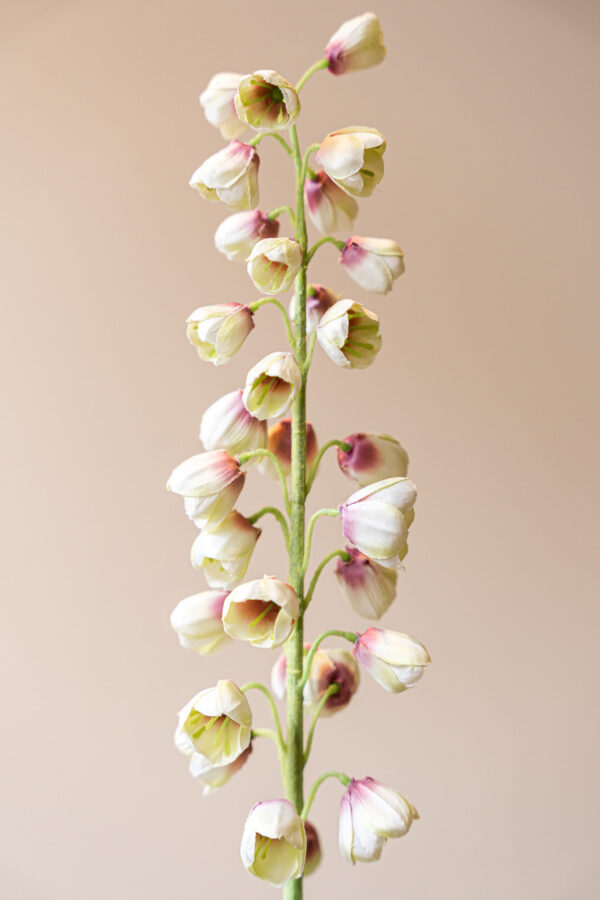 Zijden bloem - Fritillaria Wit