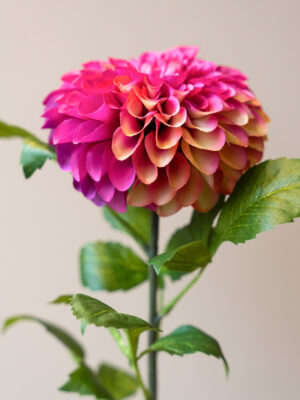 Zijden bloem - Dahlia Pompon Pink