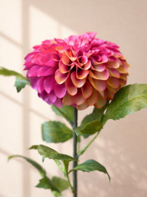 Zijden bloem - Dahlia Pompon Pink