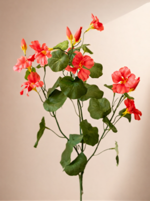 Zijden bloem - Nasturtium Spray Orange