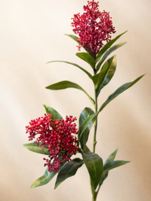 Zijden bloem - Skimmia Rood