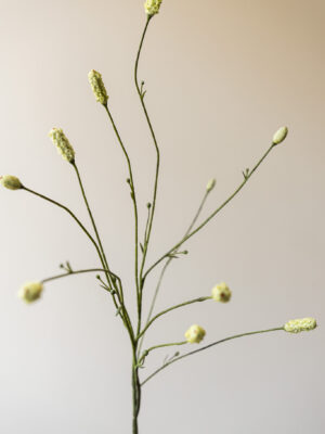 Zijden bloem - Burnet Spray Groen