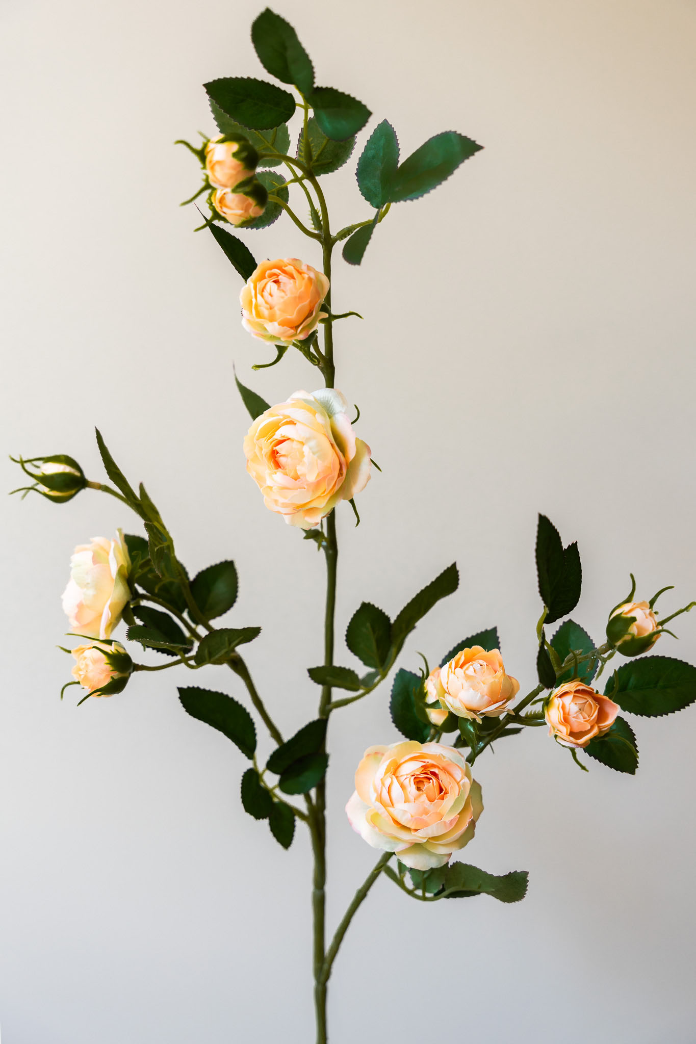 Zijden bloem - Rosa Spray Peach