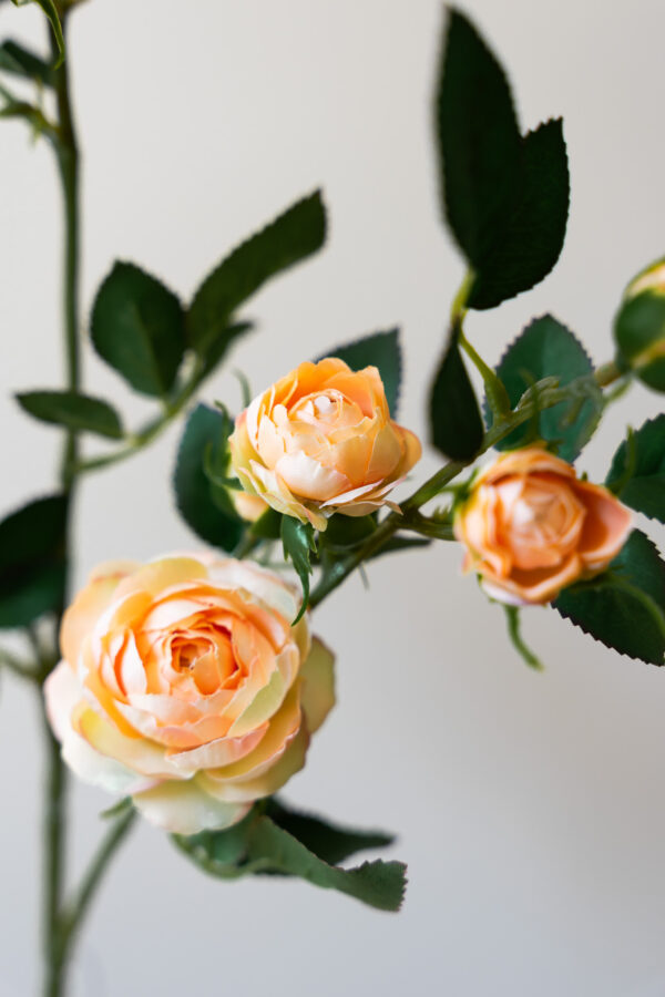 Zijden bloem - Rosa Spray Peach