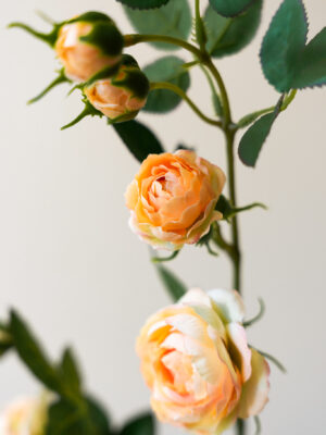 Zijden bloem - Rosa Spray Peach
