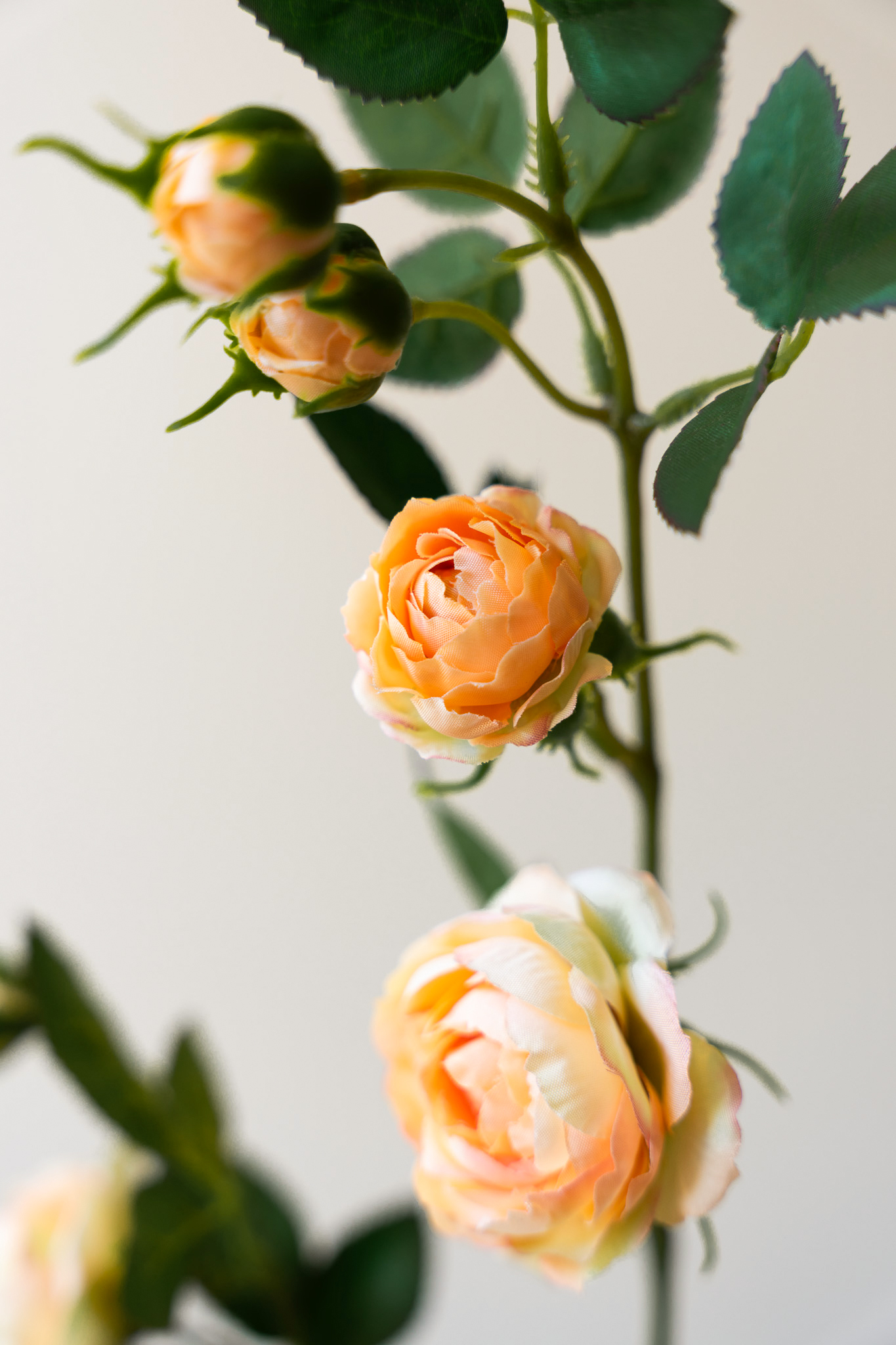 Zijden bloem - Rosa Spray Peach