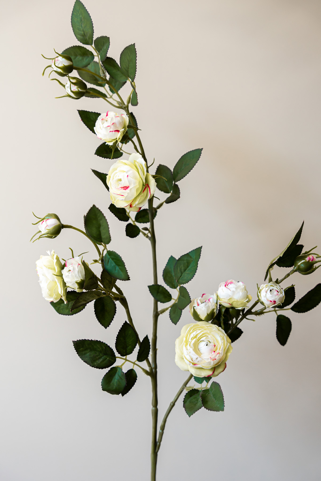 Zijden bloem - Rosa Spray White