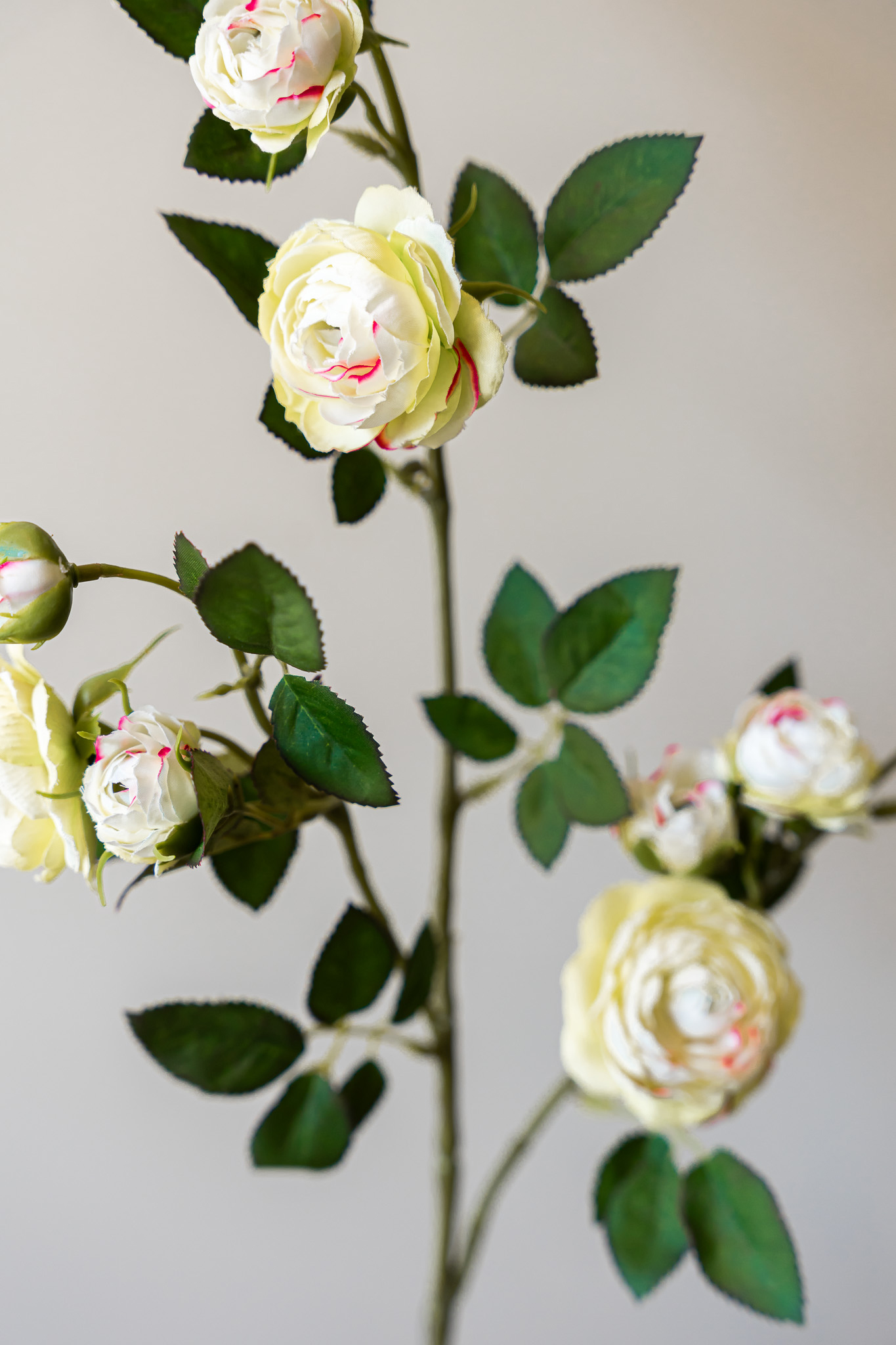 Zijden bloem - Rosa Spray White