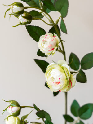 Zijden bloem - Rosa Spray White