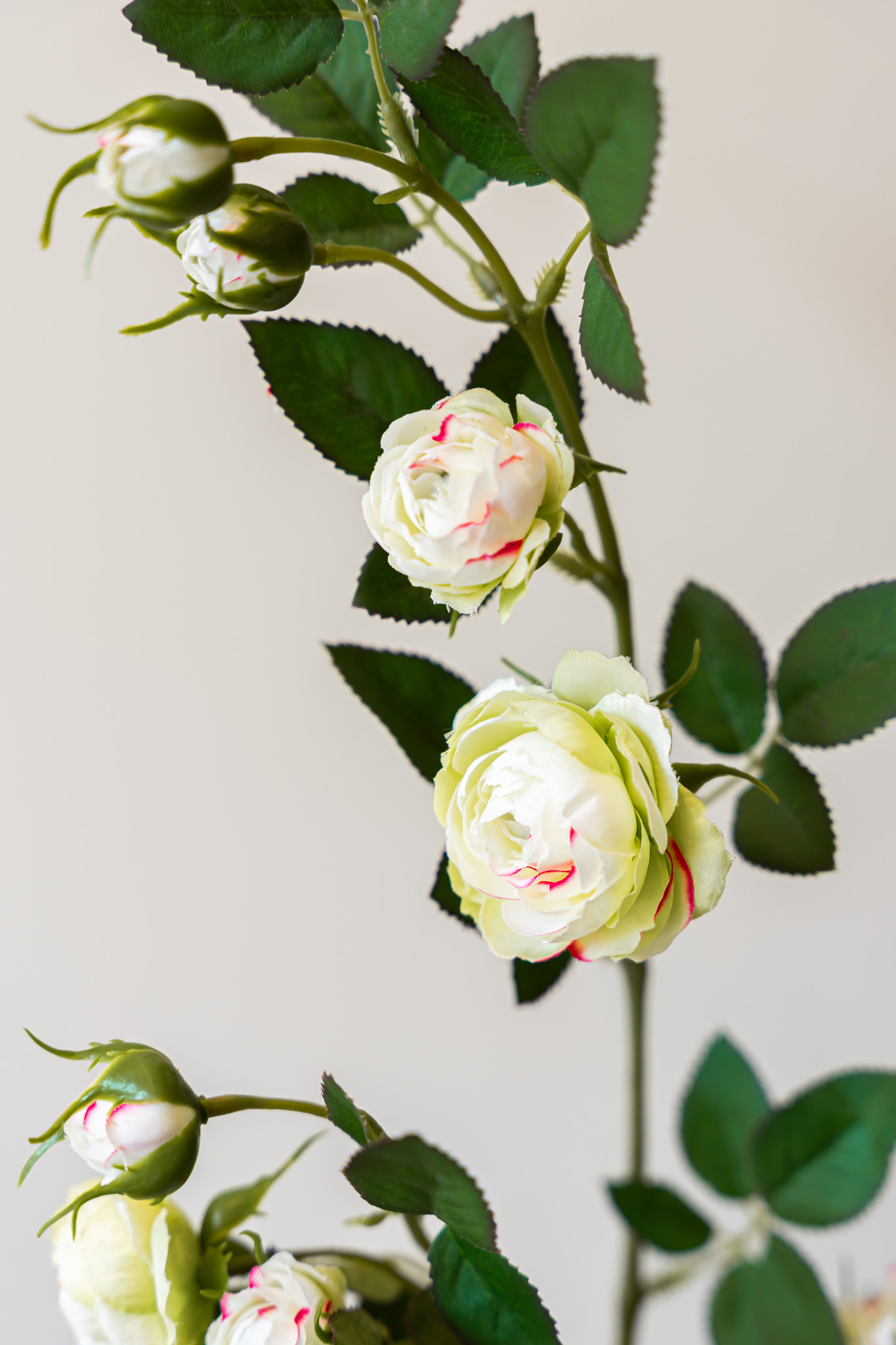 Zijden bloem - Rosa Spray White