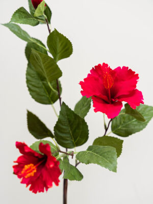 Zijden bloem - Hibiscus Red