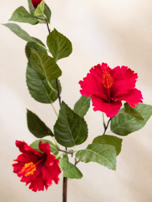 Zijden bloem - Hibiscus Red
