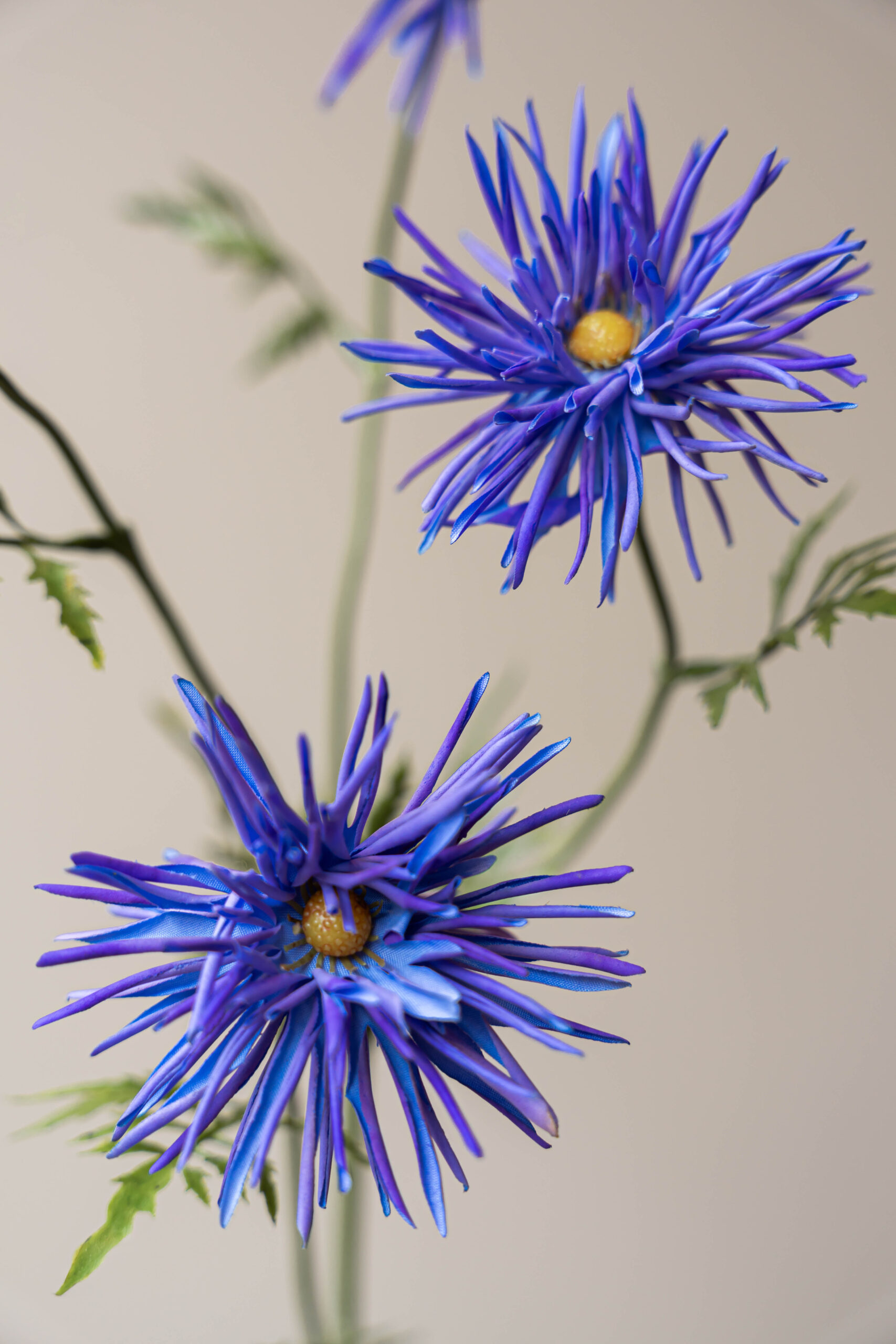 Zijden bloem - Chrysant Japans Paars