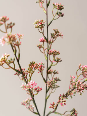 Zijden bloem - Prunus Lichtroze