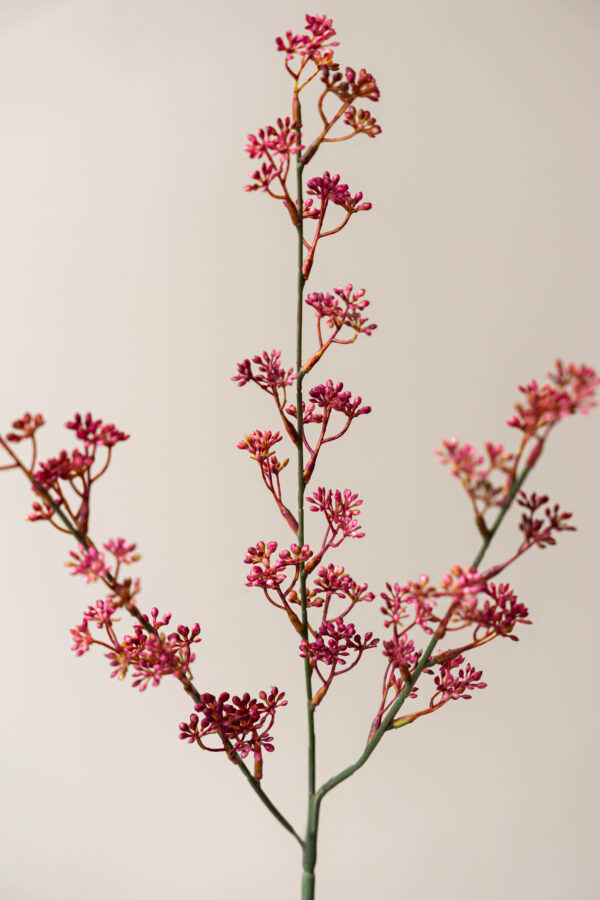Zijden bloem - Prunus Rood/Roze
