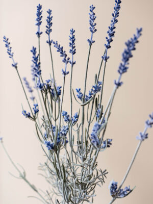 Zijden bloem - Lavendel Purple / Grey