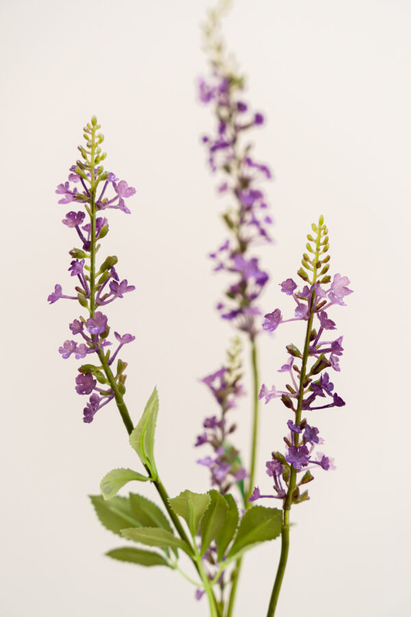 Zijden bloem - Vlinderstruik Paars