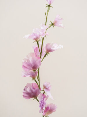Zijden bloem - Sweetpea Lila Large