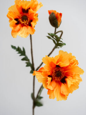 Zijden bloem - Papaver Orange Big