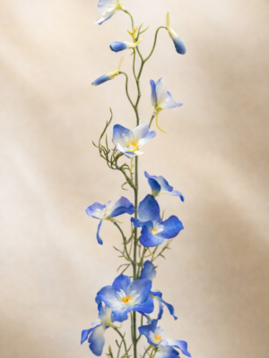 Zijden bloem - Delphinium 'Spray it' Blue