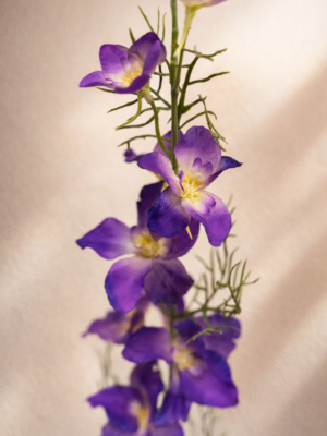 Zijden bloem - Delphinium 'Spray it' Purple