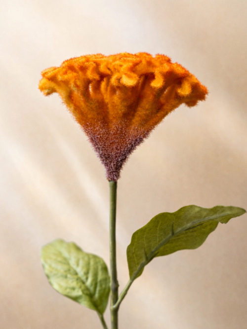 Zijden bloem - Hanekam Orange