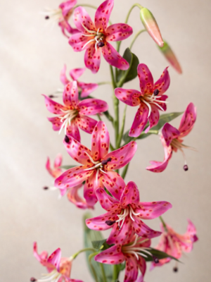 Zijden bloem - Lelie zachtroze