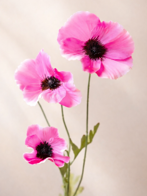 Zijden bloem - Poppy Spray Lichtroze