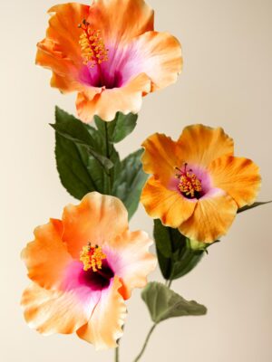 Zijden bloem - Hibiscus Oranje