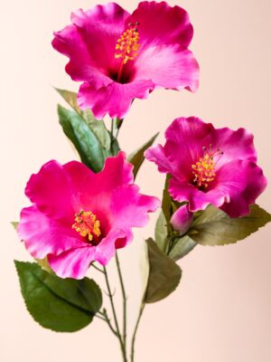 Zijden bloem - Hibiscus Roze