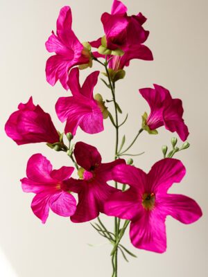 Zijden bloem - Petunia Dark Pink Big