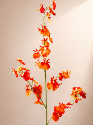Zijden bloem - Dancing Orchid Spray Orange