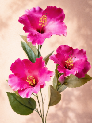 Zijden bloem - Hibiscus Roze
