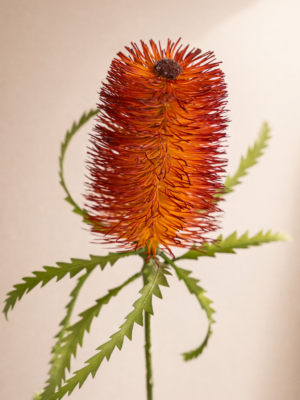Zijden bloem - Banksia Spray Orange