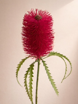 Zijden bloem - Banksia Spray Red
