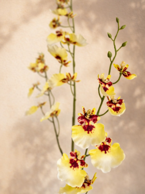 Zijden bloem - Dancing Orchid Yellow