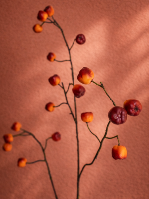 Zijden bloem - Figwort tak