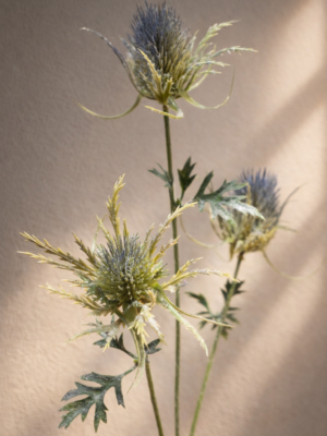 Zijden bloem - Distel Velvet